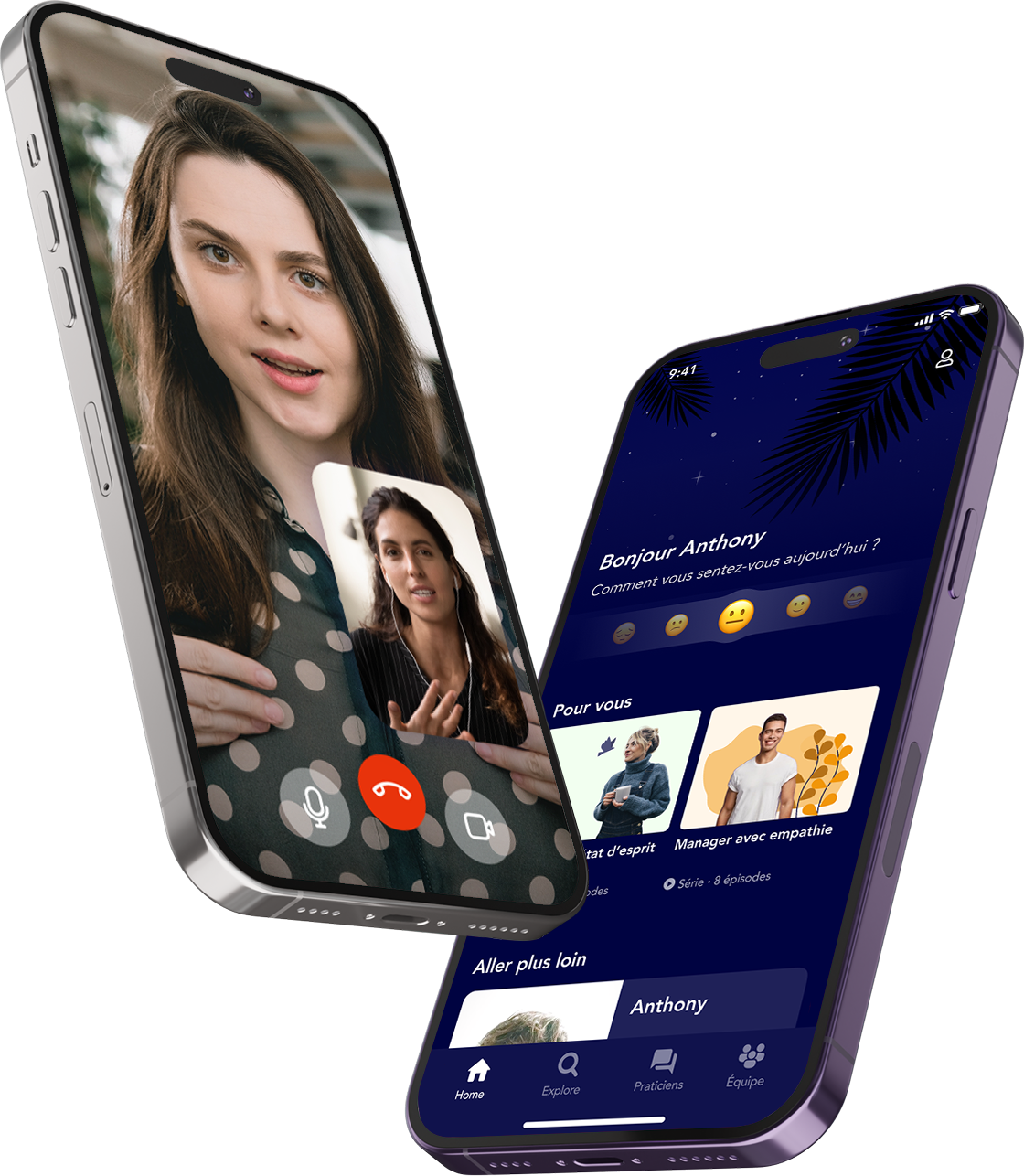 Meeriad — aperçu application