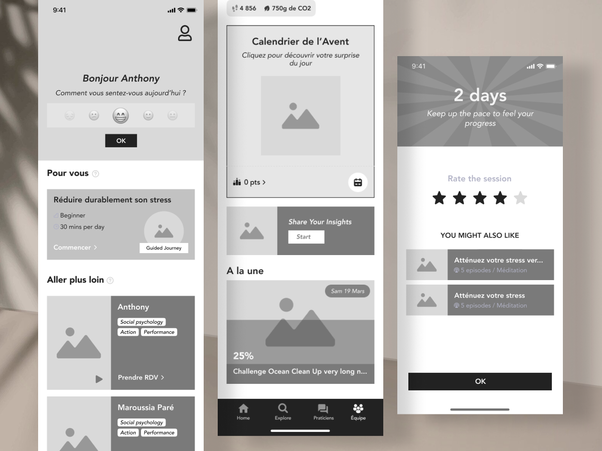 Meeriad — conception