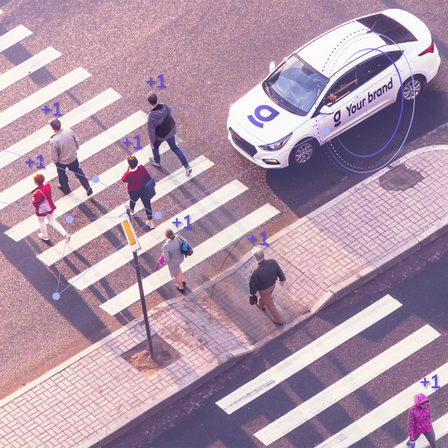 Seiki — Campaign Intelligence Center